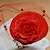 cheap Hair Jewelry-Women&#039;s Hairpins Fascinators Wreaths For Wedding Party Special Occasion Lace Red White Black