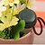 cheap Watering &amp; Irrigation-2PCS Potted Automatic Watering Flowers Automatic Plant Waterers