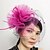 cheap Headpieces-Women&#039;s Feather Tulle Net Headpiece-Wedding Special Occasion Birdcage Veils 1 Piece