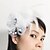 cheap Headpieces-Women&#039;s Tulle Feather Net Headpiece-Wedding Special Occasion Fascinators