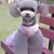 cheap Dog Clothes-Dog Dress Puppy Clothes Bowknot Wedding Fashion Dog Clothes Puppy Clothes Dog Outfits Blue Pink Costume for Girl and Boy Dog Terylene XS S M L XL XXL