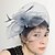 זול כיסוי ראש לחתונה-נשים נוצה רשת כיסוי ראש-חתונה אירוע מיוחד קישוטי שיער חלק 1