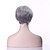 Χαμηλού Κόστους Συνθετικές Trendy Περούκες-Συνθετικές Περούκες Ίσιο Ίσια Περούκα Κοντό Γκρίζο Συνθετικά μαλλιά 10 inch Γυναικεία Γκρι hairjoy