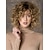cheap Older Wigs-Blonde Wigs for Women Synthetic Wig Curly Curly Side Part Wig Blonde Short Blonde Synthetic Hair Women&#039;s Fashion Blonde