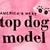 ieftine Îmbrăcăminte Câini-Pisici Câine Tricou Literă &amp; Număr Cosplay Îmbrăcăminte Câini Albastru Trandafiriu Costume Terilenă XS S M L