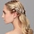 זול כיסוי ראש לחתונה-פנינה ביגוד לראש / פין שיער עם פרחוני 1 pc חתונה / אירוע מיוחד / קזו&#039;אל כיסוי ראש
