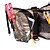 cheap Backpacks &amp; Bags-5 L Waist Bag/Waistpack Waterproof