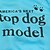 halpa Koiran vaatteet-Kissa Koira T-paita Kirjain ja numero Cosplay Koiran vaatteet Sininen Ruusu Asu Teryleeni XS S M L