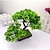 preiswerte Künstliche Pflanzen-Polyester Einfacher Stil Tisch-Blumen 1