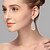 cheap Earrings-Women&#039;s Drop Earrings - Classic Silver For Party