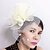 cheap Headpieces-Women&#039;s Feather Tulle Net Headpiece-Wedding Special Occasion Birdcage Veils 1 Piece