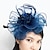 levne Fascinátory-tyl / peří / síť fascinators kentucky derby klobouk / pokrývka hlavy s květinovým 1ks svatební / zvláštní příležitost / čajový dýchánek