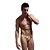 cheap Wetsuits &amp; Diving Suits-Men&#039;s Quick Dry, High Breathability (&gt;15,001g), Breathable Nylon / Tactel Beach Wear Swimwear Swimming