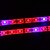 cheap Plant Growing Lights-lm Growing Strip Lights 300 leds SMD 5050 Waterproof Blue Red DC 12V