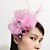 cheap Headpieces-Women&#039;s Tulle Feather Net Headpiece-Wedding Special Occasion Fascinators
