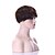 cheap Synthetic Trendy Wigs-Synthetic Wig Straight Curly Style Wig Brown Synthetic Hair 6 inch Women&#039;s Brown Wig Short
