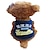 ieftine Îmbrăcăminte Câini-Câine Tricou Literă &amp; Număr Cute Stil Îmbrăcăminte Câini Respirabil Albastru / Galben Costume Bumbac XS S M