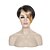 cheap Synthetic Trendy Wigs-capless short synthetic wig colorful in the front bang suit for party and cosplay