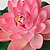 billige Kunstig blomst-Kunstige blomster 1 Afdeling Moderne Stil Lotus Gulvblomst