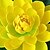 billige Kunstig blomst-Kunstige blomster 1 Afdeling Moderne Stil Lotus Gulvblomst