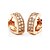 cheap Earrings-Women&#039;s Hoop Earrings Huggie Earrings Ladies Birthstones Italian Sterling Silver Silver Earrings Jewelry Rose For Wedding Party Daily Casual Masquerade Engagement Party