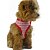 baratos Coleiras, Trelas e Peitorais para Cães-Cachorro Arreios Trelas Retratável Têxtil Cachorro pequeno Cão Médio Cão grande Preto Vermelho