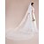 cheap Wedding Veils-Two-tier Lace Applique Edge Wedding Veil Cathedral Veils with 157.48 in (400cm) Lace