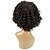 abordables Pelucas sintéticas-Pelucas sintéticas Kinky Curly Estilo Sin Tapa Peluca Marrón Pelo sintético Mujer Peluca afroamericana Marrón Peluca Larga