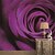 cheap Wall Murals-JAMMORY Art Deco Wallpaper Contemporary Wall Covering,Other A large Mural Wallpaper Purple Rose Flower