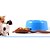 cheap Dog Grooming Supplies-New fashion pet dog accessories canned spoon dog food small shovel  small pets feed utensils