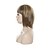 Χαμηλού Κόστους Συνθετικές Trendy Περούκες-Συνθετικές Περούκες Ίσιο Στυλ Χωρίς κάλυμμα Περούκα Γκρίζο Ανάμεικτο Χρώμα Συνθετικά μαλλιά Γυναικεία Πολύχρωμο Περούκα μαύρο Περούκα
