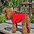 abordables Vêtements pour chiens-Chien Costume Pulls à capuche Vêtements pour Chien Bande dessinée Rouge Vert Coton Costume Pour Printemps &amp; Automne Hiver Homme Femme Cosplay