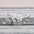 cheap Headpieces-Pearl Hair Combs with 1 Piece Wedding / Special Occasion / Casual Headpiece