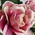 Недорогие Искусственные цветы-Искусственные Цветы 1 Филиал Современный Гардения Букеты на стол