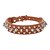 cheap Dog Collars, Harnesses &amp; Leashes-Cat Dog Collar Studded Rivet PU Leather White Black Red Blue Pink