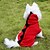 abordables Vêtements pour chiens-Chien Costume Pulls à capuche Vêtements pour Chien Bande dessinée Rouge Vert Coton Costume Pour Printemps &amp; Automne Hiver Homme Femme Cosplay