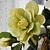 Недорогие Искусственные цветы-Искусственные Цветы 1 Филиал Современный Гардения Букеты на стол