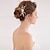 cheap Headpieces-Pearl / Crystal Hair Combs / Headwear with Floral 1pc Wedding / Special Occasion Headpiece