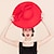 זול כובע מסיבות-כובעי מסיבות שכבה כפולה בד באולר/כובע כובע סינמאי כובע קנטאקי דרבי מרוץ סוסים לנשים יום גביע מלבורן יוקרתי וינטג&#039; עם כיסוי ראש עם קשת