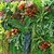 billige Kunstige planter-Kunstige blomster 1 Gren Pastorale Stilen Planter Veggblomst