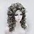 cheap Synthetic Trendy Wigs-new fashion charming 50cm brown mix grey tip women s curly synthetic wig