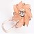 זול עגילים אופנתיים-נשים עגילי קליפס חמוד מסיבה עבודה לשם סגסוגת תכשיטים חתונה Party יומי