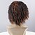 cheap Synthetic Trendy Wigs-multi color short synthetic wigs curly wig for african american black women curly wigs