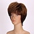 cheap Older Wigs-Synthetic Wig Wavy Wavy Wig Short Brown Synthetic Hair Women&#039;s Brown