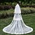 cheap Wedding Veils-Three-tier Lace Applique Edge Wedding Veil Cathedral Veils with Sequin / Appliques Lace / Tulle / Classic
