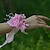 abordables Cadeaux et décorations-Fleurs de mariage Petit bouquet de fleurs au poignet Mariage / Fête / Soirée Tulle / Satin 3cm