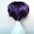 Недорогие Парик из искусственных волос без шапочки-основы-Парики из искусственных волос Прямой Прямой силуэт Парик Короткие Лиловый Искусственные волосы Жен. Фиолетовый hairjoy