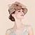 Χαμηλού Κόστους Καπέλα για Πάρτι-Καπέλα Οργάντζα Κεντάκι Ντέρμπι Ιπποδρομία Ημέρα της Γυναίκας Κύπελλο Μελβούρνης Κομψό &amp; Πολυτελές Με Φιόγκος Φτερά / Γούνα Ακουστικό Καπέλα
