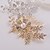 זול תכשיטים לשיער-בגדי ריקוד נשים עבור חתונה אירוע מיוחד קריסטל אבן נוצצת זהב כסף
