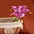 billige Kunstig blomst-nye flere farger ekte touch mini calla lily bukett blomster 9 stk / mye for bryllup og fest dekorasjon